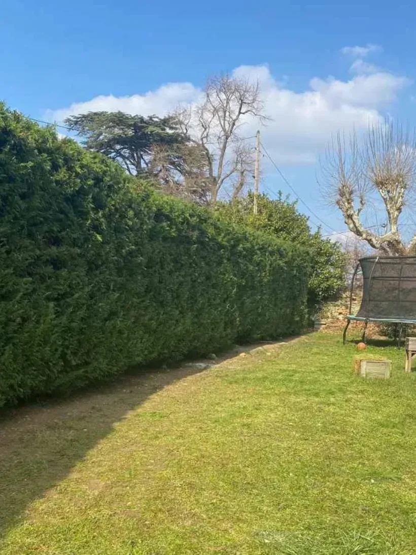 Haie de jardin taillée au cordeau, pelouse dégagée